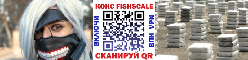 Cocaine FishScale  это как зайти  Ачхой-Мартан  наркотики 