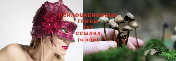 скорость Абаза