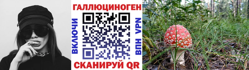 Галлюциногенные грибы мухоморы  Ачхой-Мартан 